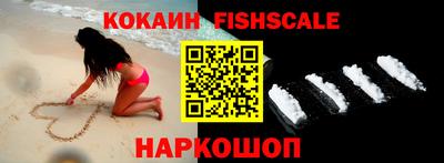 стаф Кимры