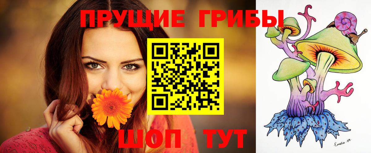 Псилоцибиновые грибы мицелий Щёкино