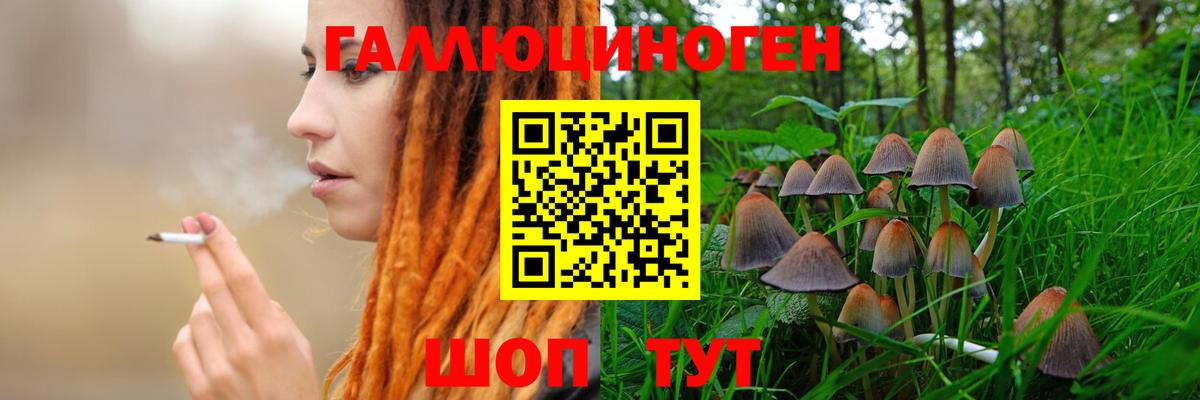 Галлюциногенные грибы мицелий  как найти закладки  Щёкино  Псилоцибиновые грибы мицелий  Вход с VPN 